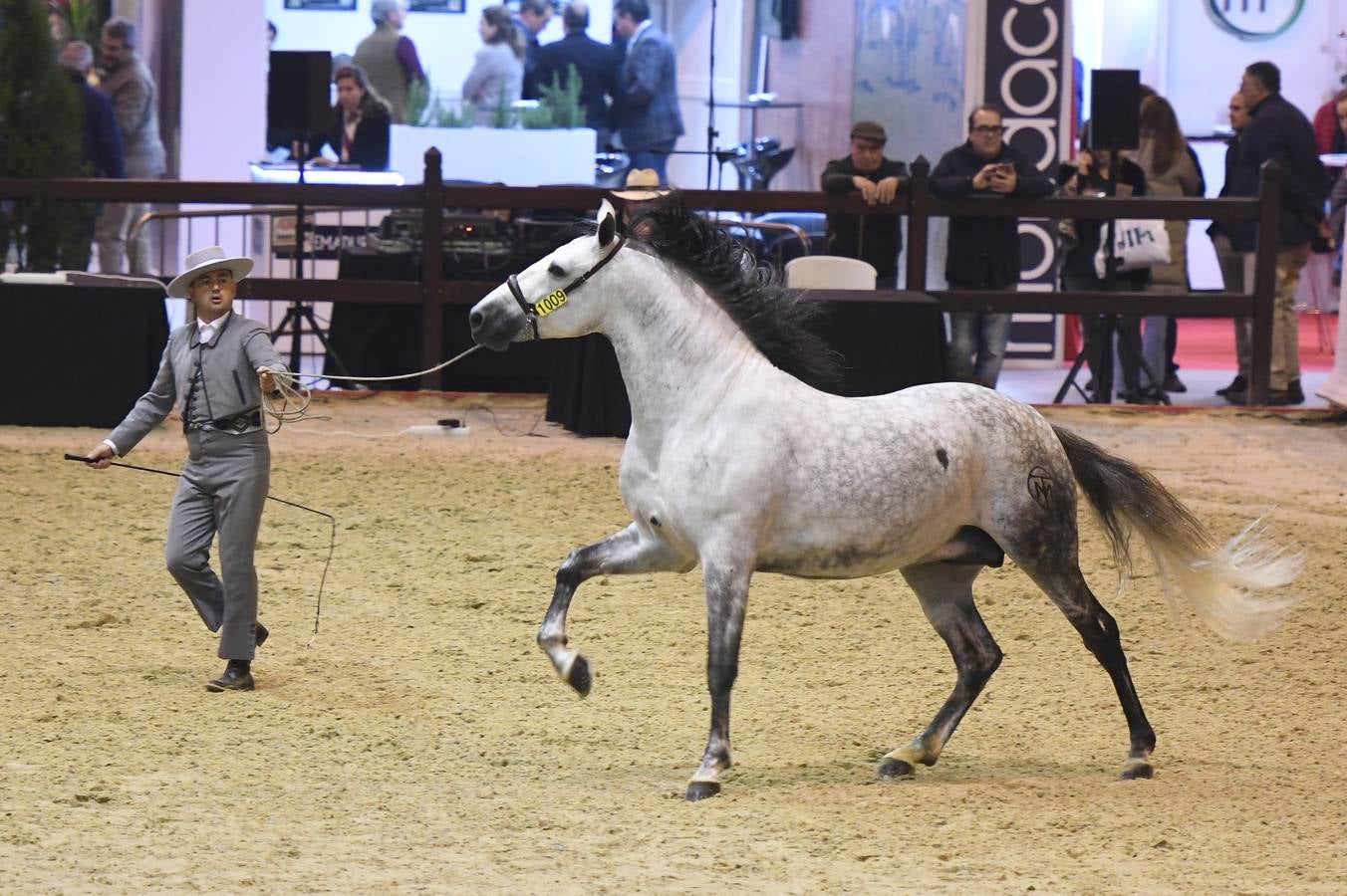 El campeonato del mundo del caballo de Pura Raza Española en SICAB 2019 (I)