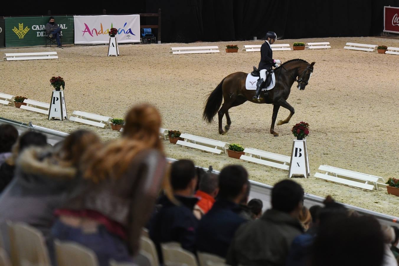 El campeonato del mundo del caballo de Pura Raza Española en SICAB 2019 (I)