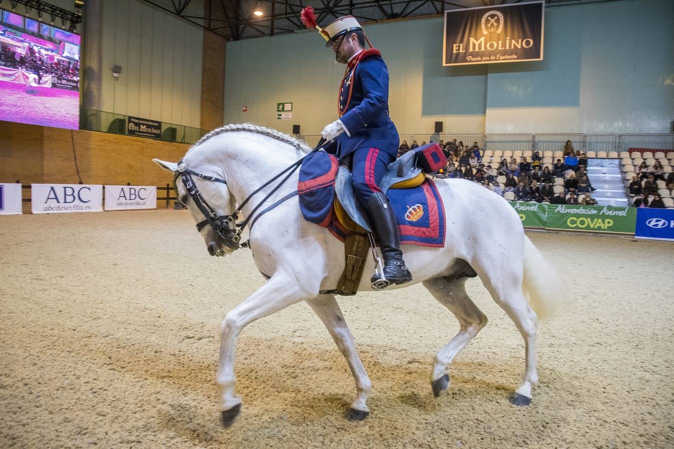 El campeonato del mundo del caballo de Pura Raza Española en SICAB 2019 (I)