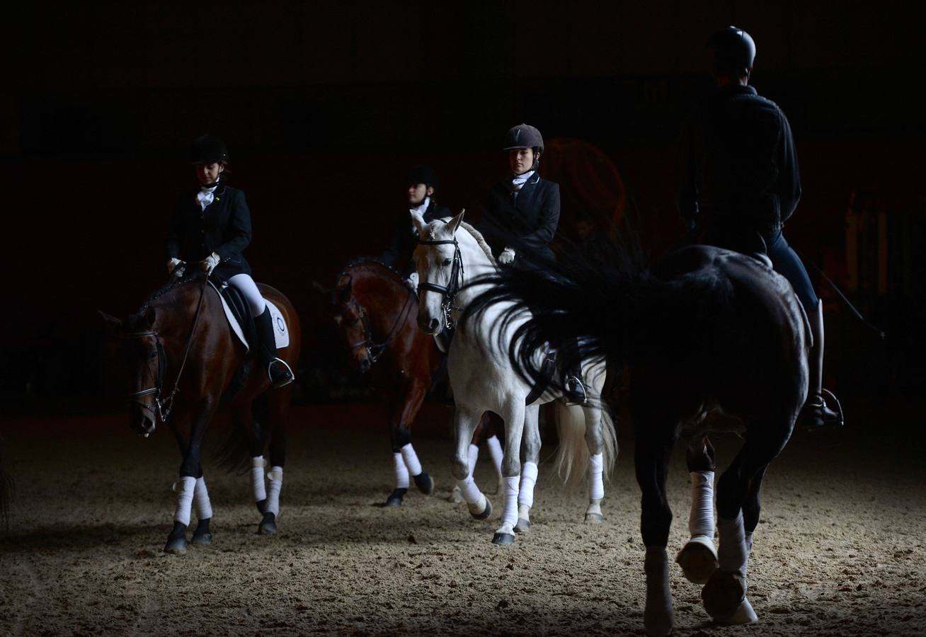 El campeonato del mundo del caballo de Pura Raza Española en SICAB 2019 (I)