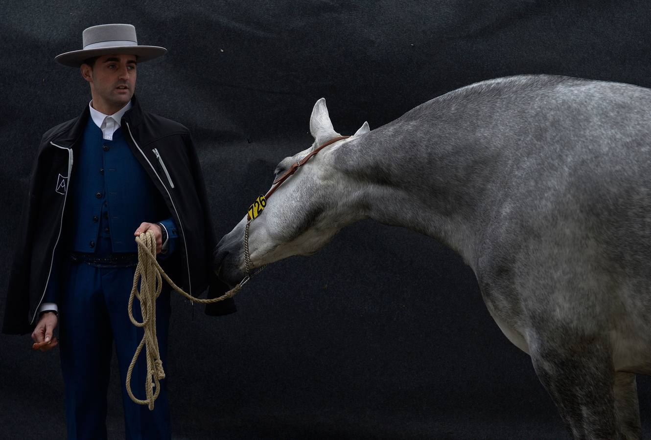 El campeonato del mundo del caballo de Pura Raza Española en SICAB 2019 (I)