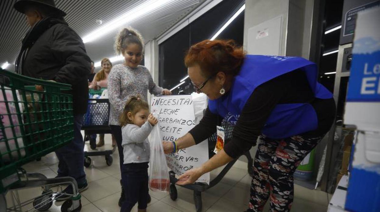 La campaña de recogida del Banco de Alimentos de Córdoba, en imágenes