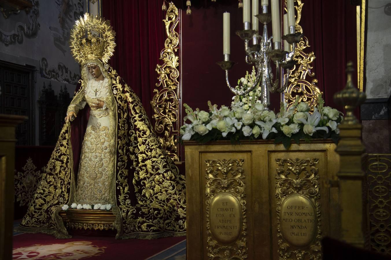 El besamanos de la Virgen de la Amargura