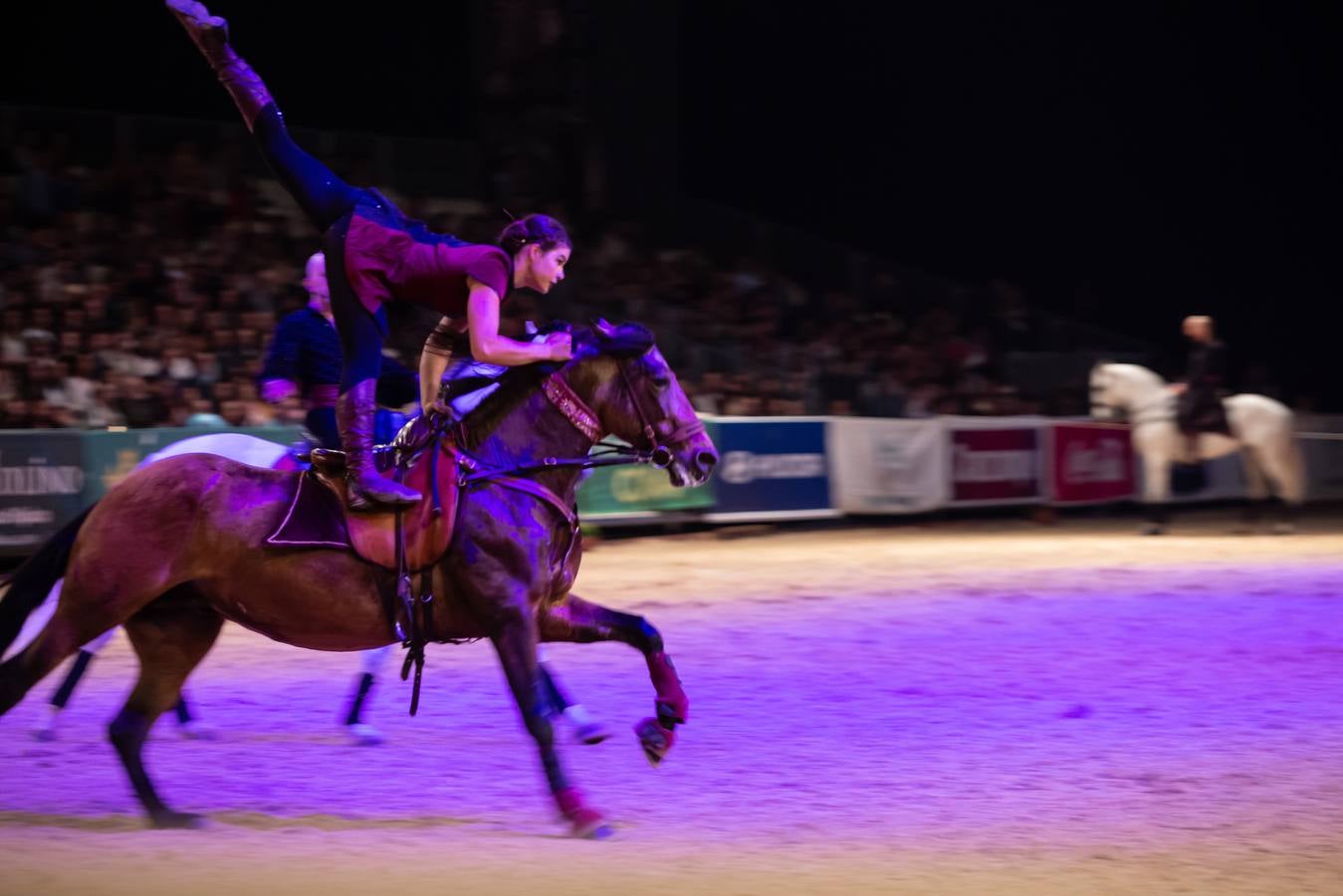 Concurrida jornada de sábado en el Sicab