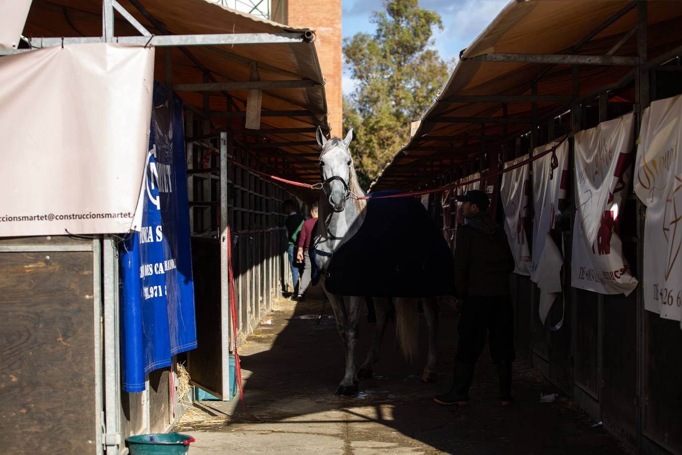 Concurrida jornada de sábado en el Sicab