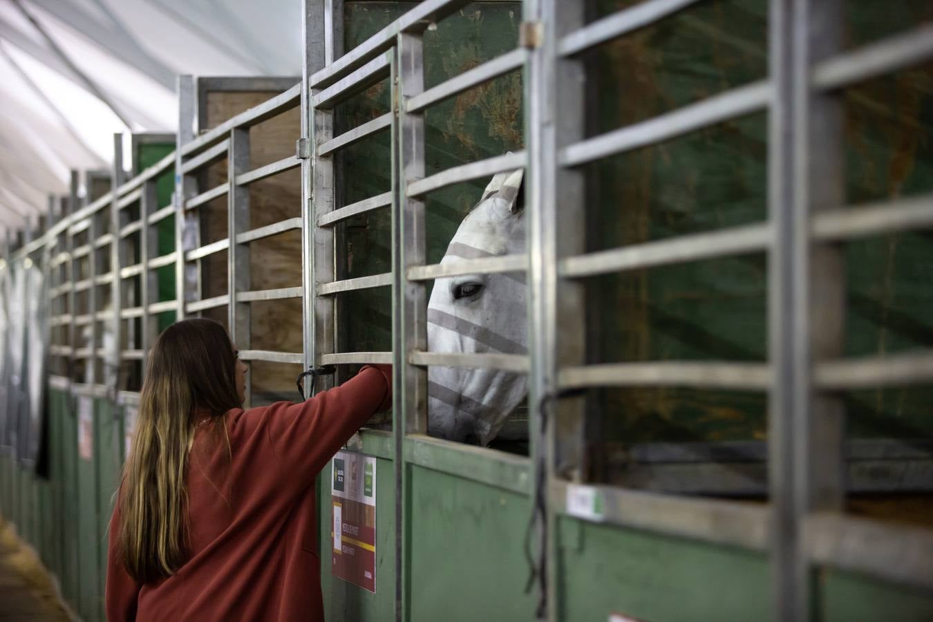 Concurrida jornada de sábado en el Sicab