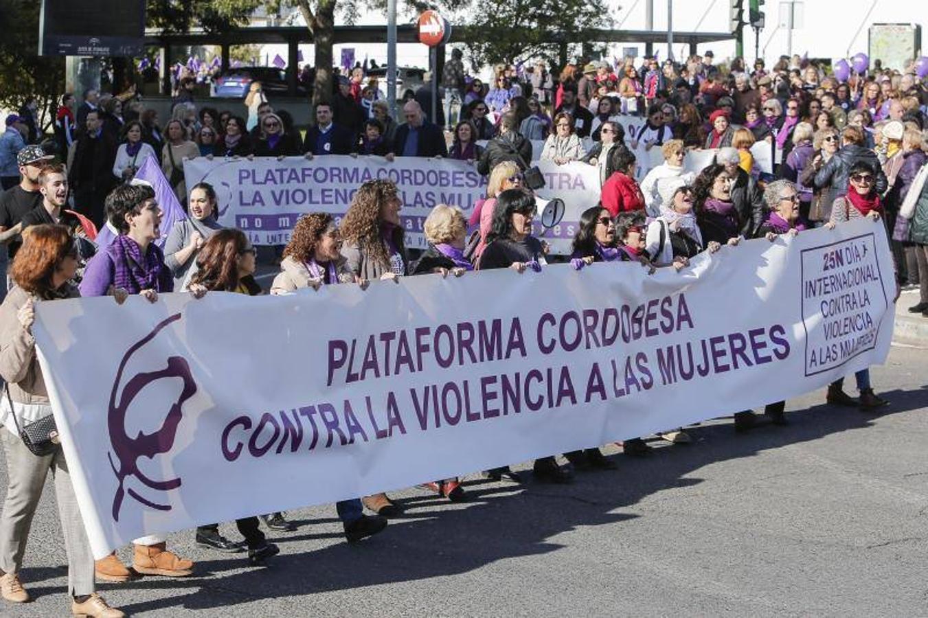 La manifestación contra la violencia hacia las mujeres de Córdoba, en imágenes