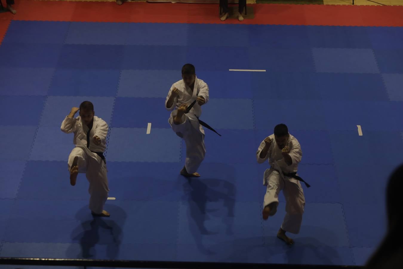 Campeonato de Europa de Karate-do en San Fernando