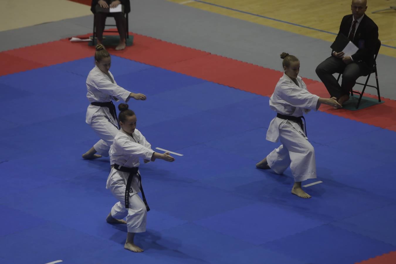 Campeonato de Europa de Karate-do en San Fernando