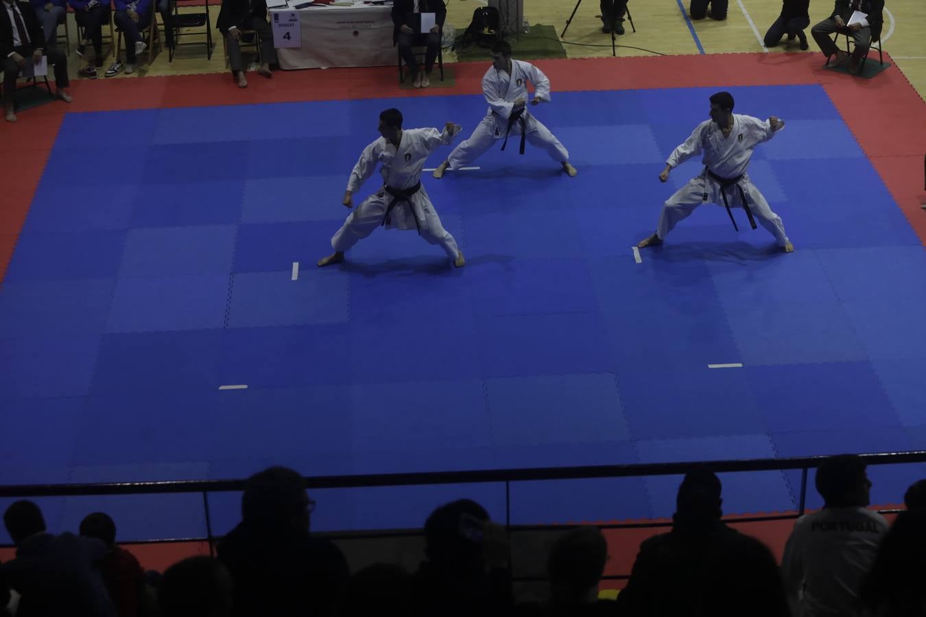 Campeonato de Europa de Karate-do en San Fernando