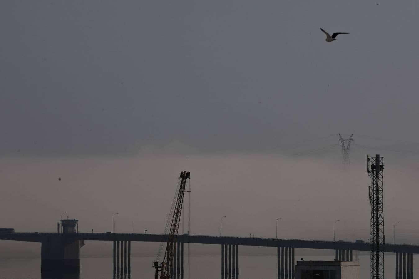 La magia de Cádiz, envuelta en la niebla