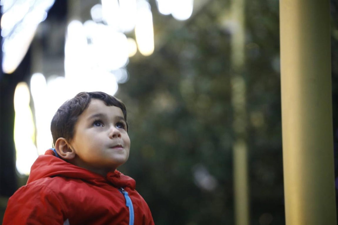 El alumbrado y el ambiente en las calles del Centro de Córdoba, en imágenes