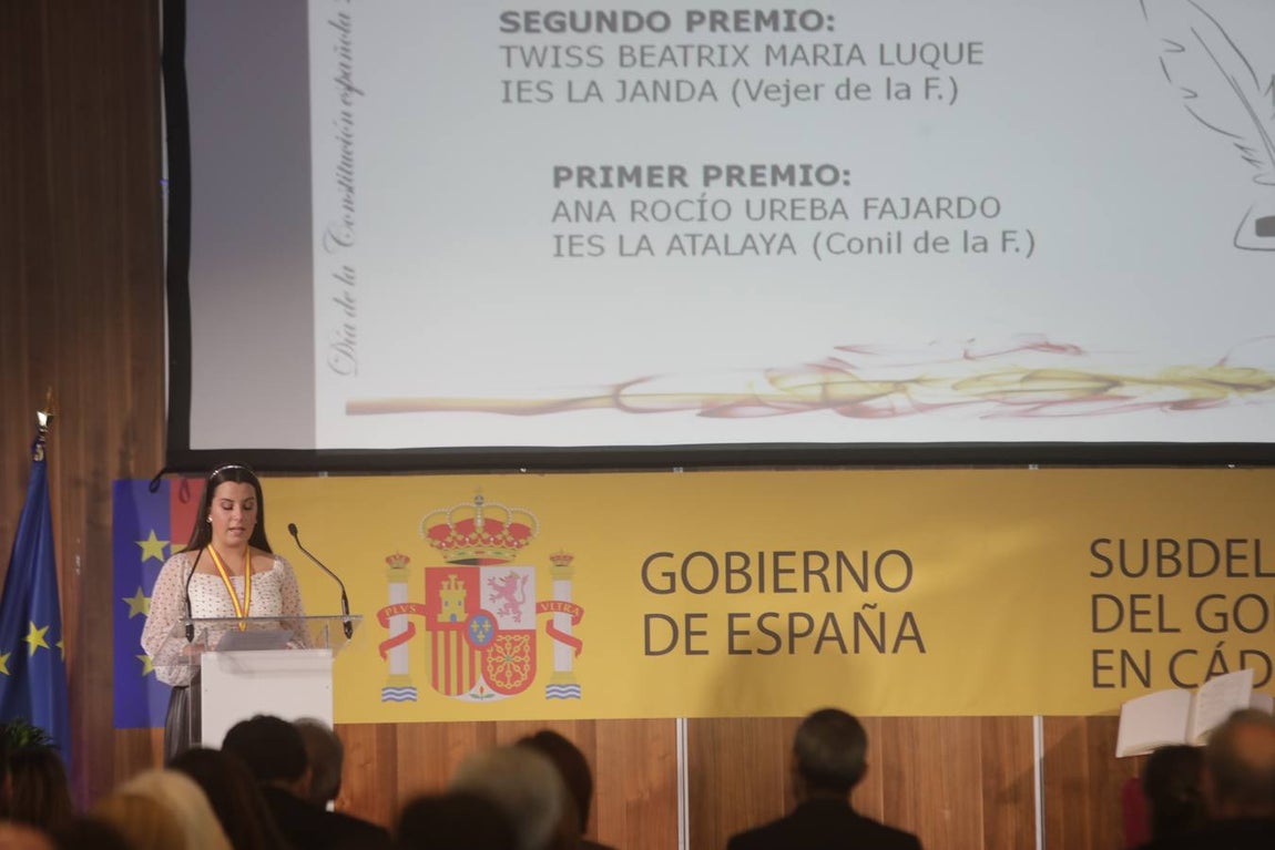 Entrega de distinciones de la Subdelegación por la conmemoración de la Constitución