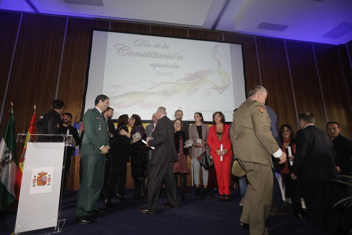 Entrega de distinciones de la Subdelegación por la conmemoración de la Constitución