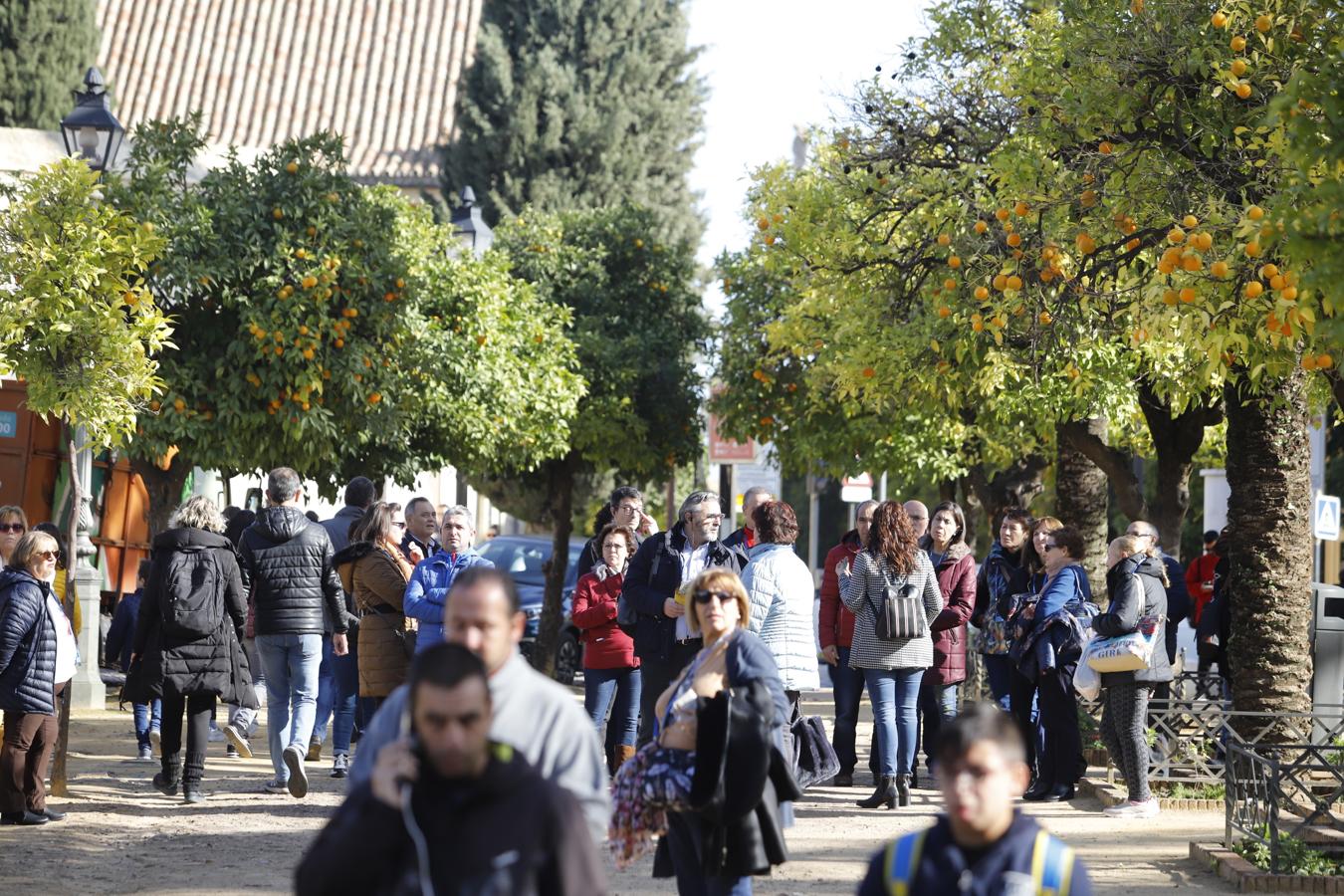 El ambiente turístico en Córdoba en el puente, en imágenes