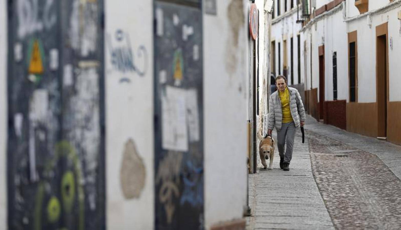 La calle Mucho Trigo de Córdoba, en imágenes