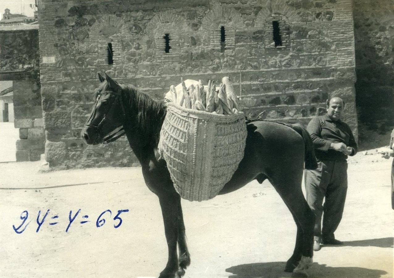 El caballo con el que se repartía el pan por la ciudad. 