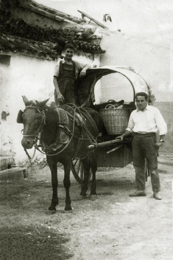 Cien años en imágenes de la panadería Brasal de Toledo