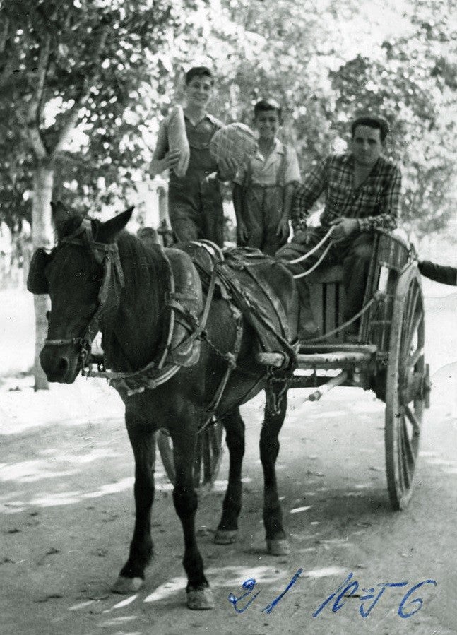 Cien años en imágenes de la panadería Brasal de Toledo