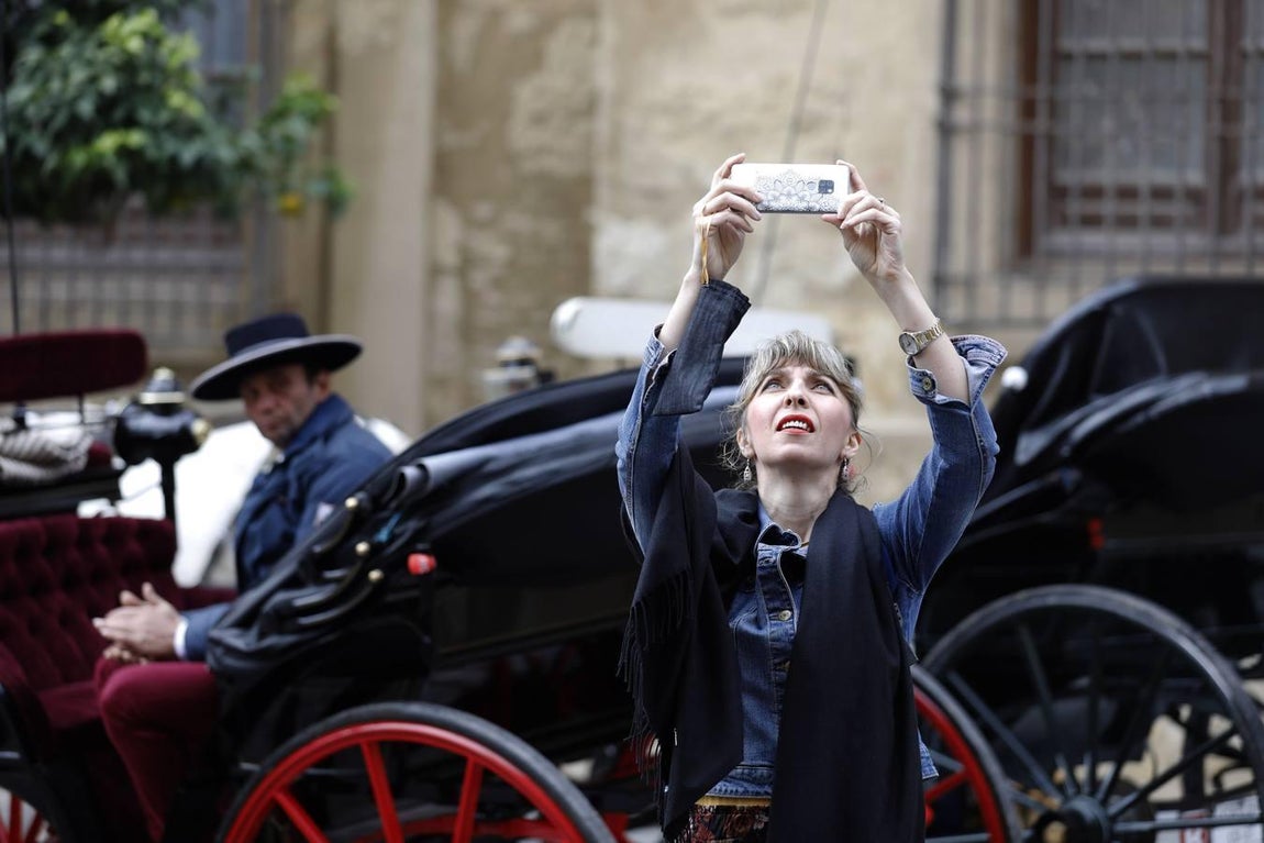 En imágenes, un lunes turístico para despedir el Puente de la Inmaculada en Córdoba