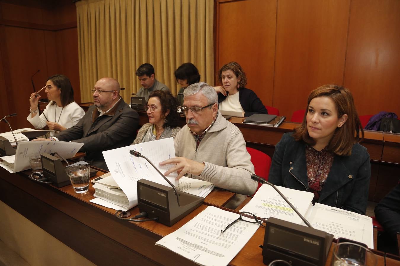 El Pleno del Ayuntamiento de Córdoba, en imágenes