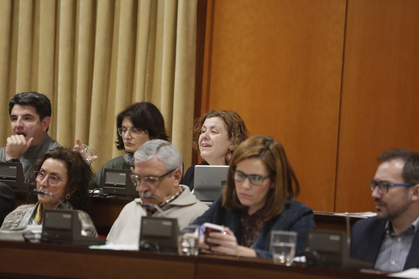 El Pleno del Ayuntamiento de Córdoba, en imágenes