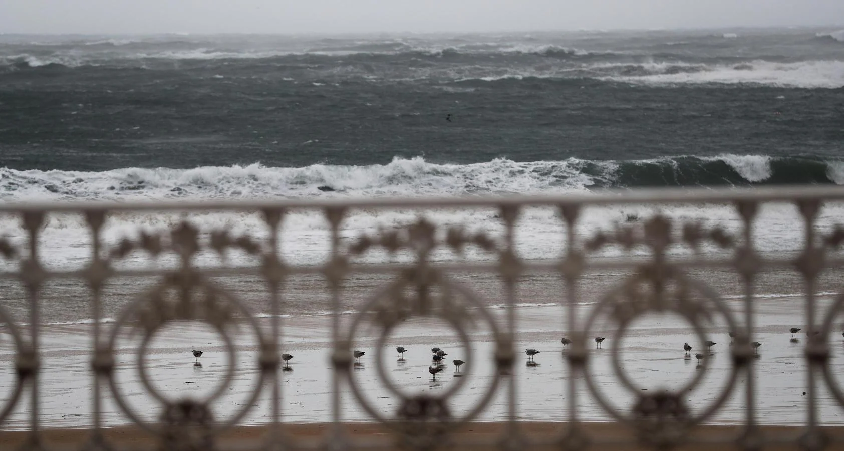 Las fuertes rachas de viento causan estragos en el País Vasco