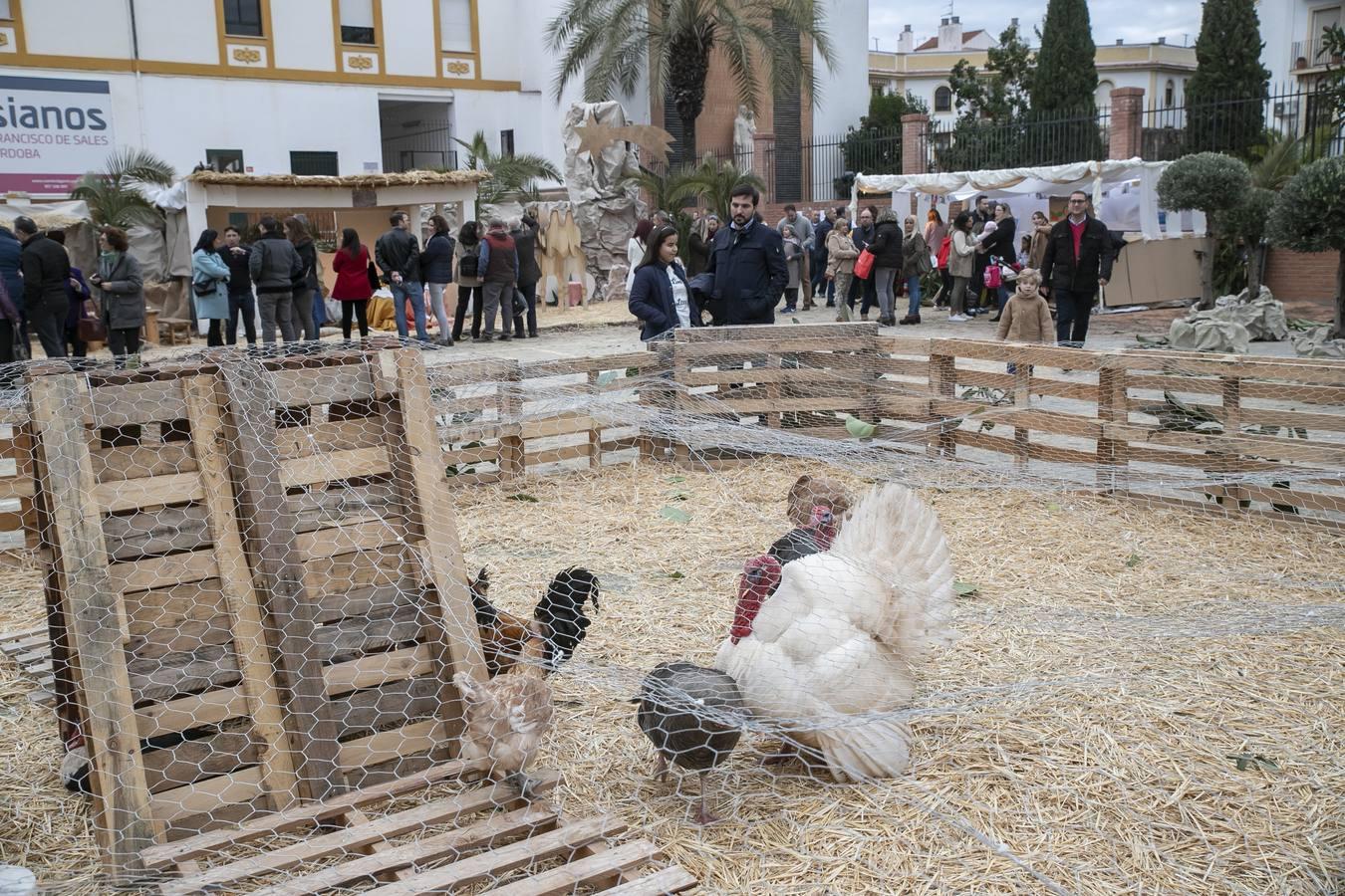 El Belén viviente del Colegio Salesianos de Córdoba, en imágenes