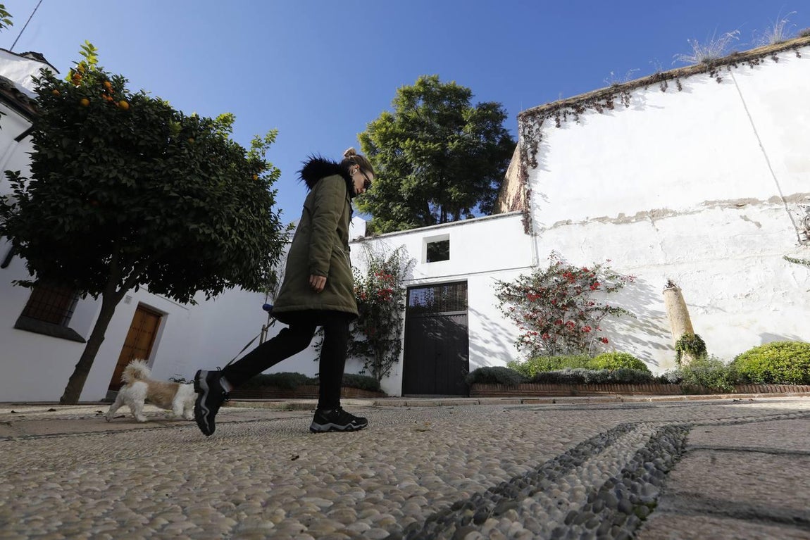La Cuesta de Pero Mato de Córdoba, en imágenes