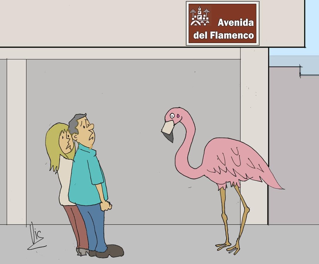 Así fue 2019 en Córdoba desde la mirada de VIC (parte II)