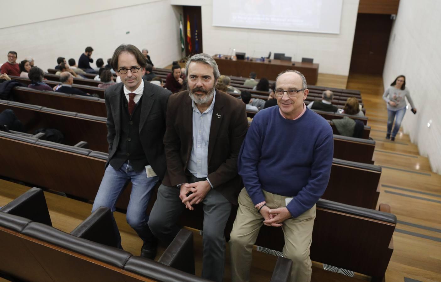 La presentación de los últimos hallazgos de la investigación en Medina Azahara, en imágenes