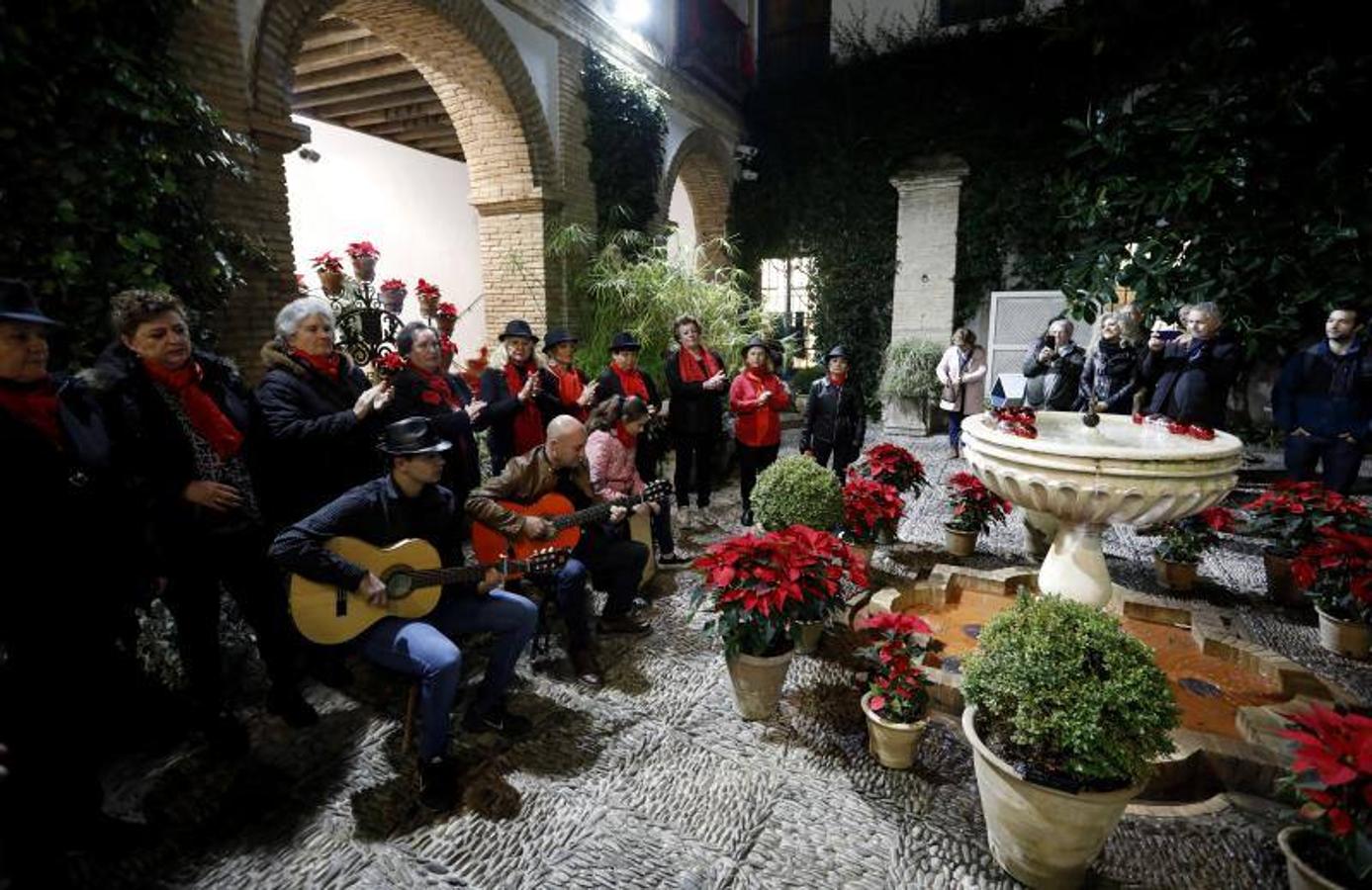 La primera ruta de los Patios de Córdoba en Navidad, en imágenes