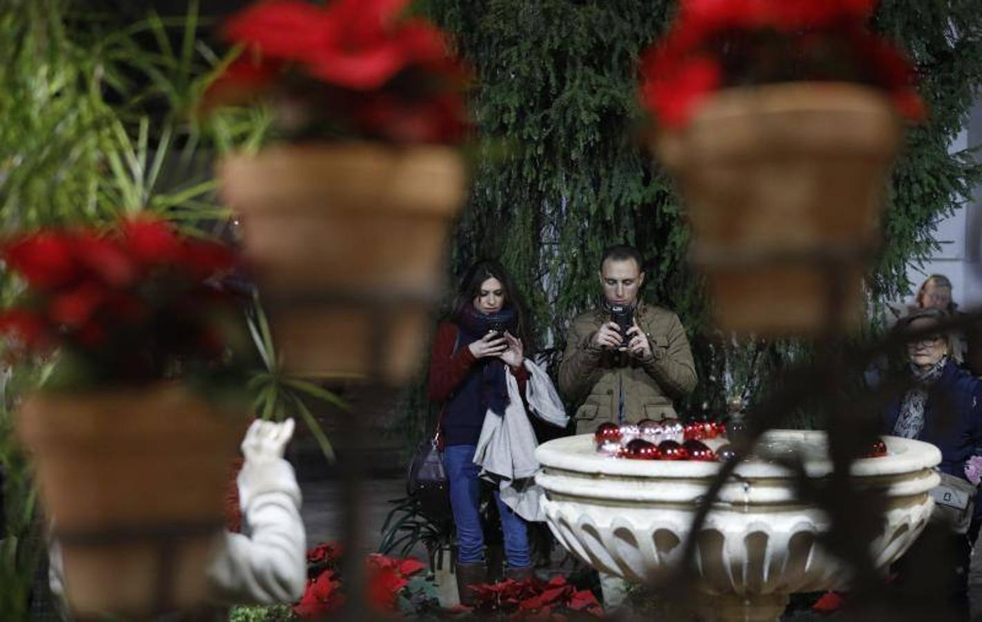 La primera ruta de los Patios de Córdoba en Navidad, en imágenes