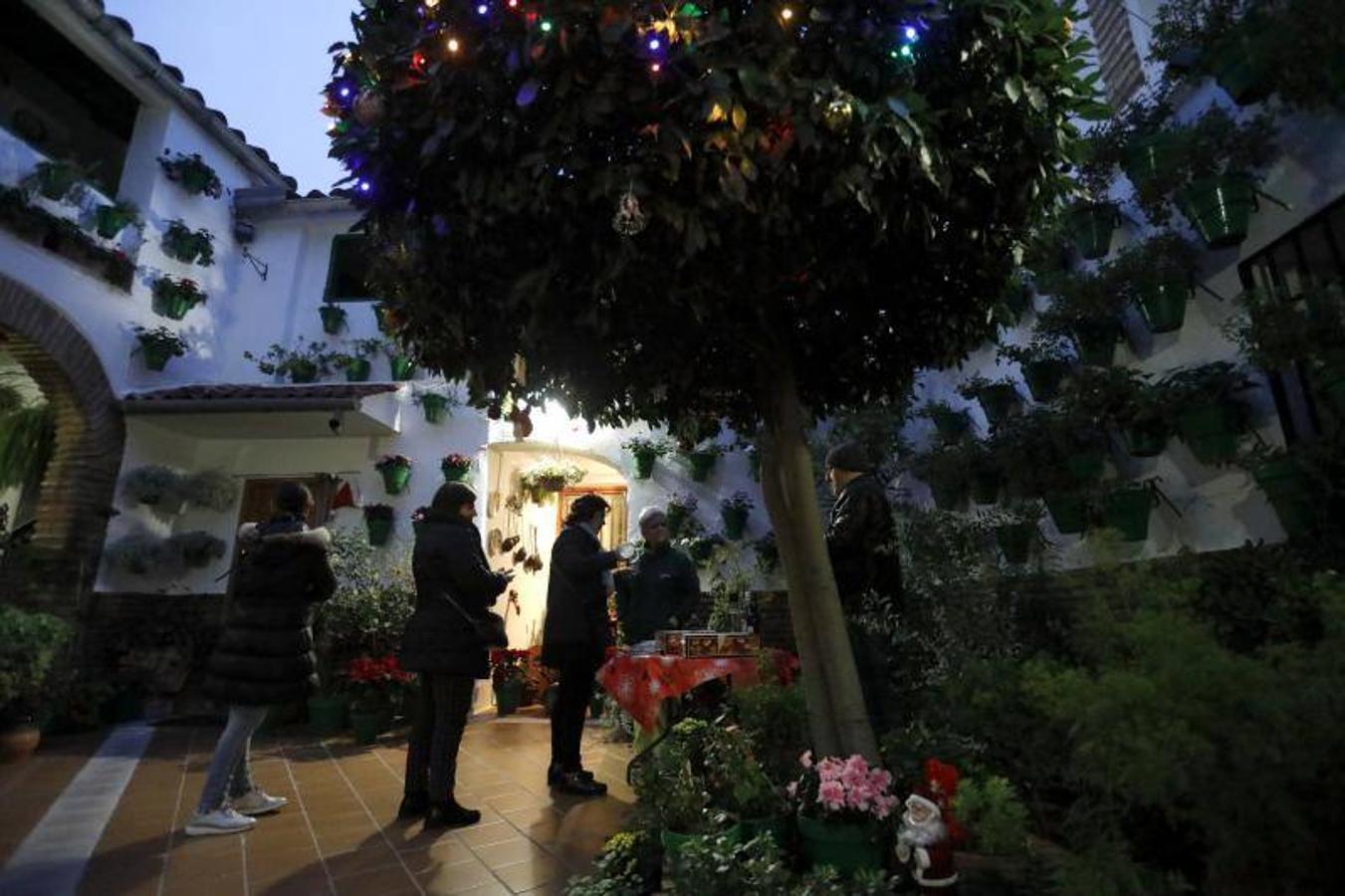 La primera ruta de los Patios de Córdoba en Navidad, en imágenes