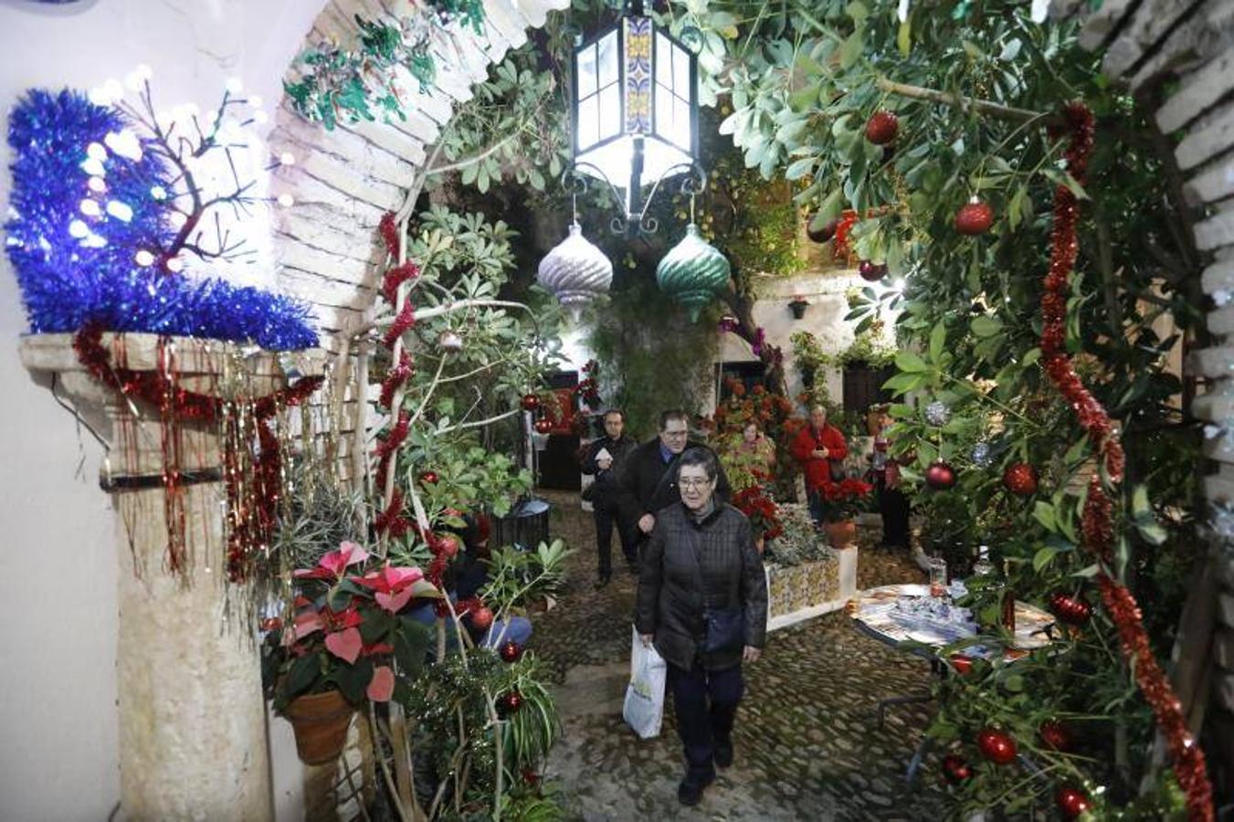 La primera ruta de los Patios de Córdoba en Navidad, en imágenes