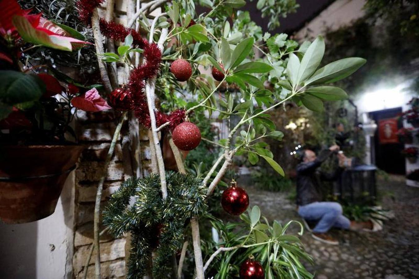 La primera ruta de los Patios de Córdoba en Navidad, en imágenes