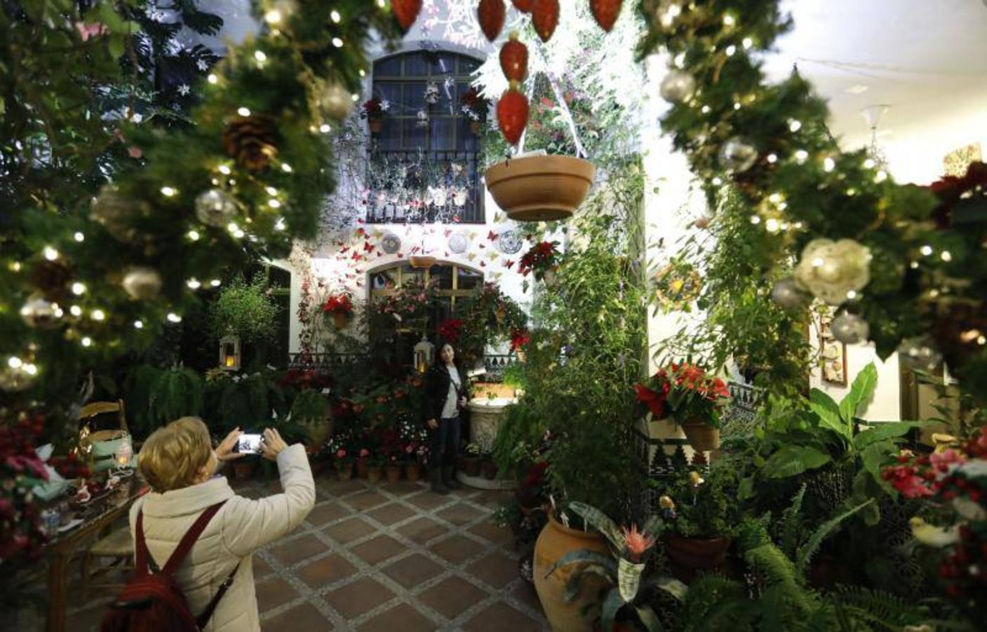 La primera ruta de los Patios de Córdoba en Navidad, en imágenes