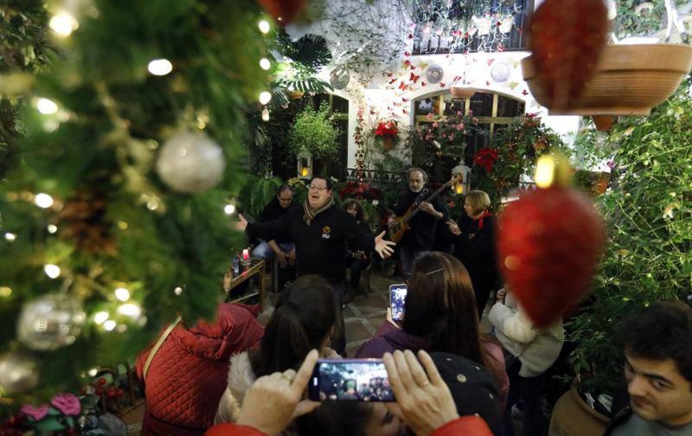 La primera ruta de los Patios de Córdoba en Navidad, en imágenes