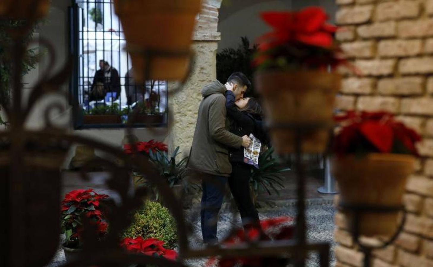 La primera ruta de los Patios de Córdoba en Navidad, en imágenes