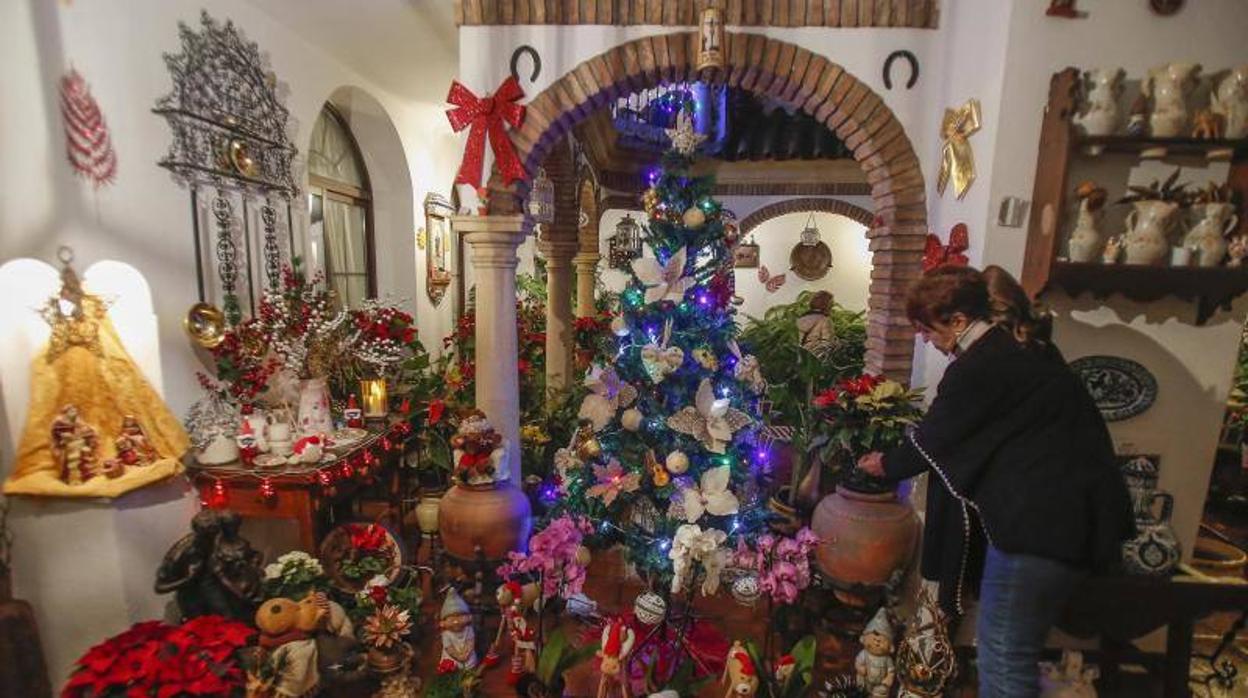 La segunda jornada de los Patios de Córdoba en Navidad, en imágenes