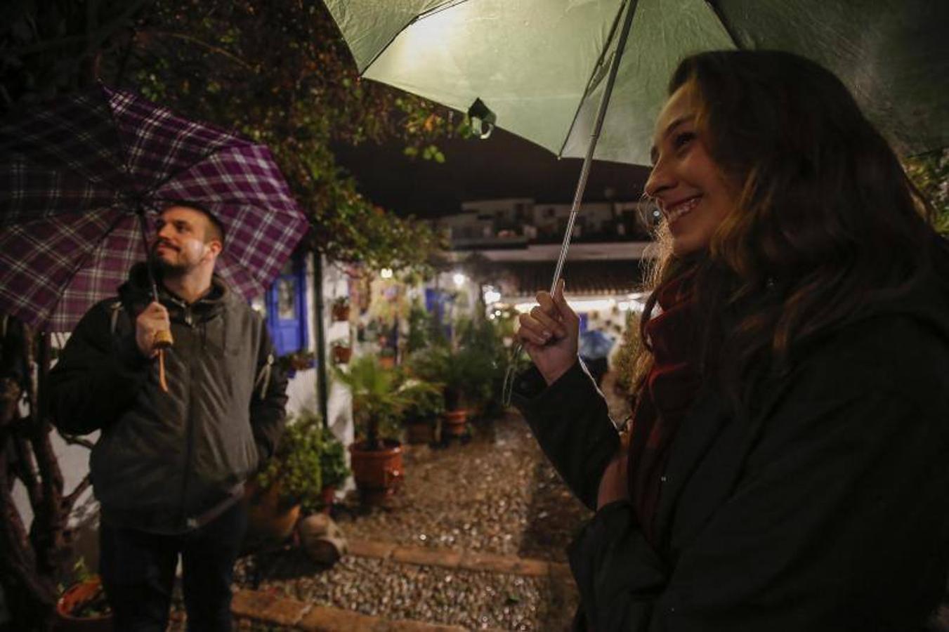 La segunda jornada de los Patios de Córdoba en Navidad, en imágenes