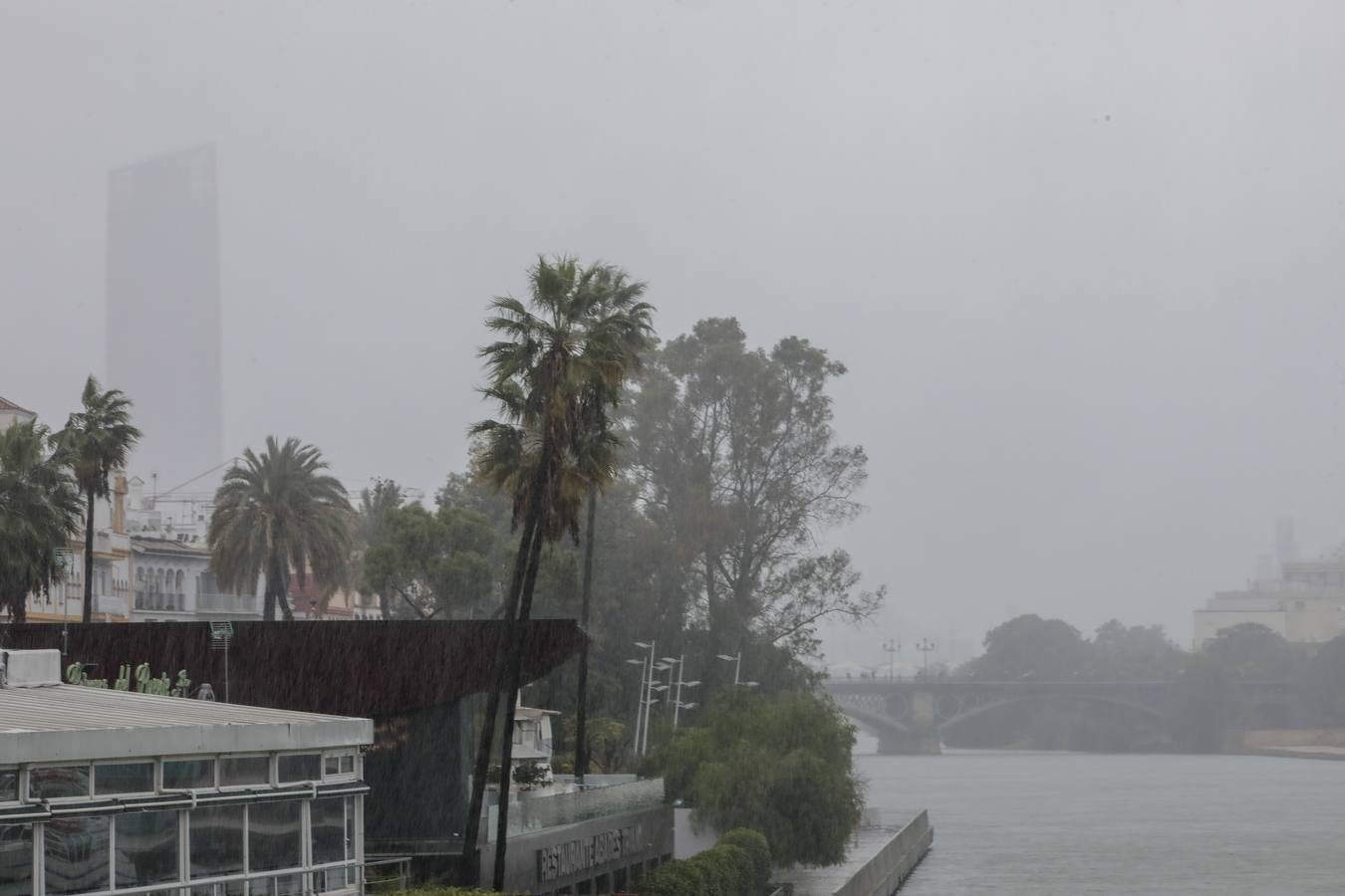 Las imágenes de Sevilla azotada por el temporal