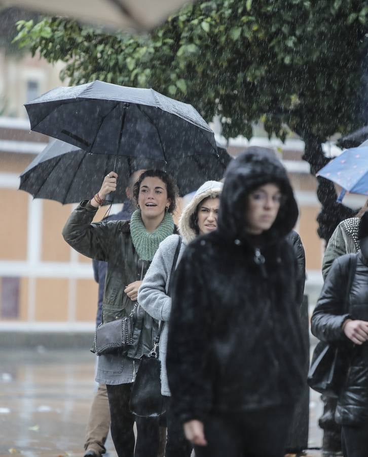 Las imágenes de Sevilla azotada por el temporal