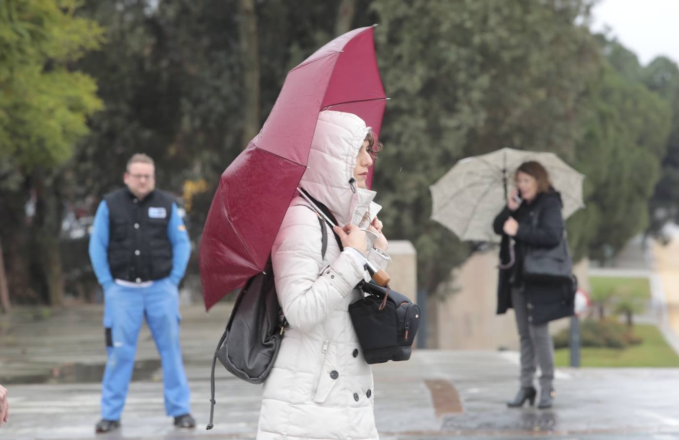 Las imágenes de Sevilla azotada por el temporal