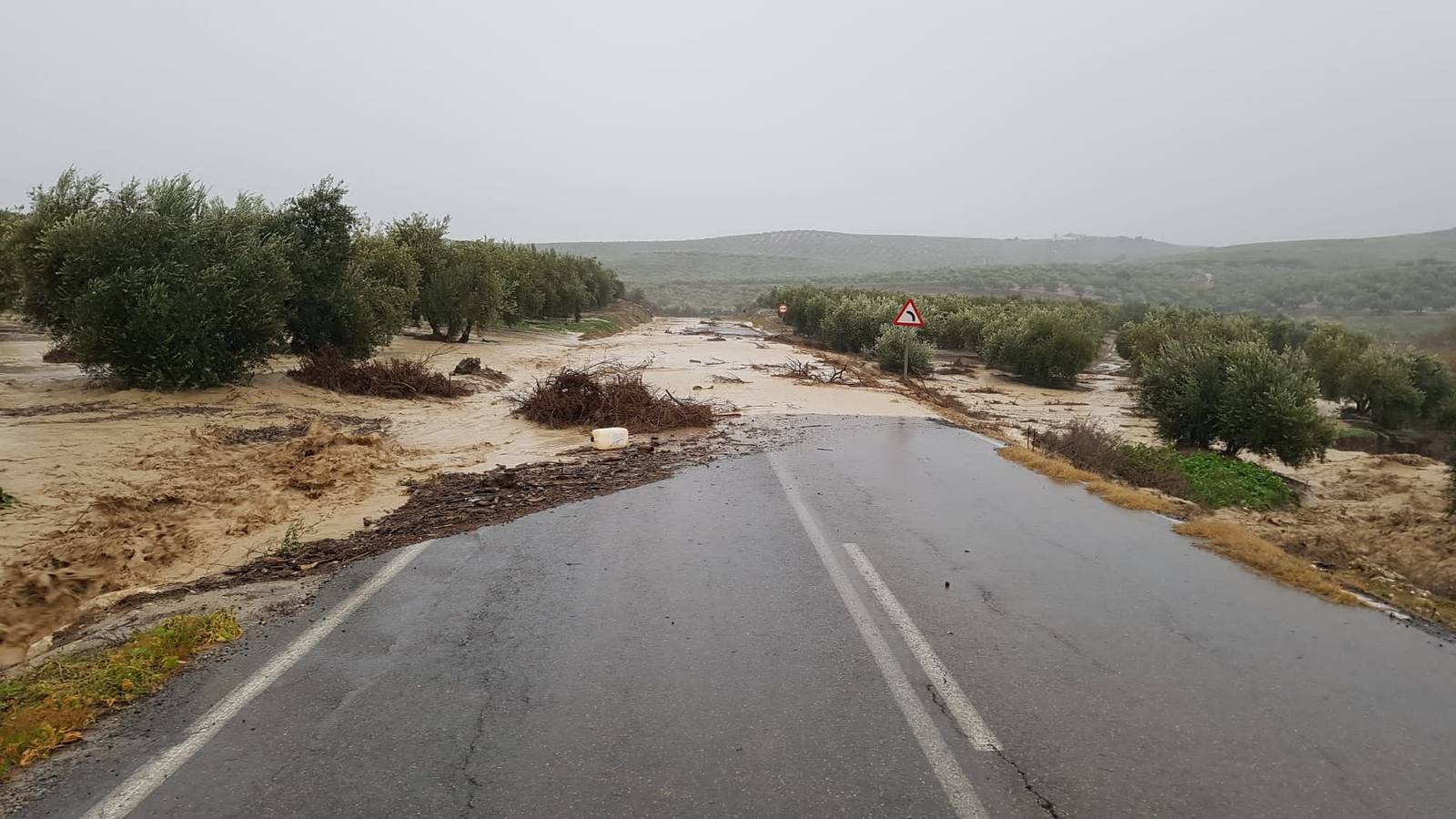 Las incidencias de la borrasca Elsa en Córdoba, en imágenes