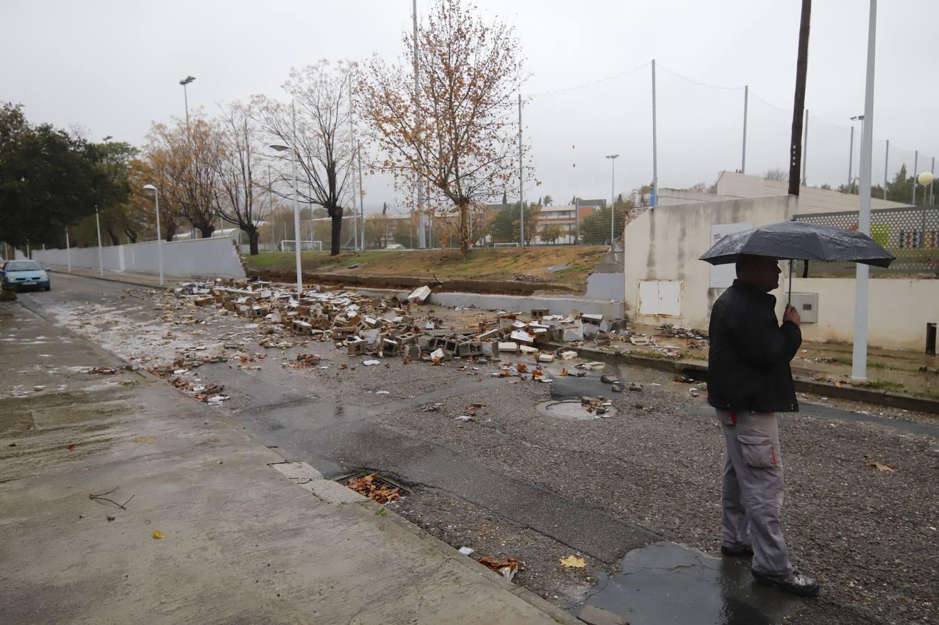 Las incidencias de la borrasca Elsa en Córdoba, en imágenes