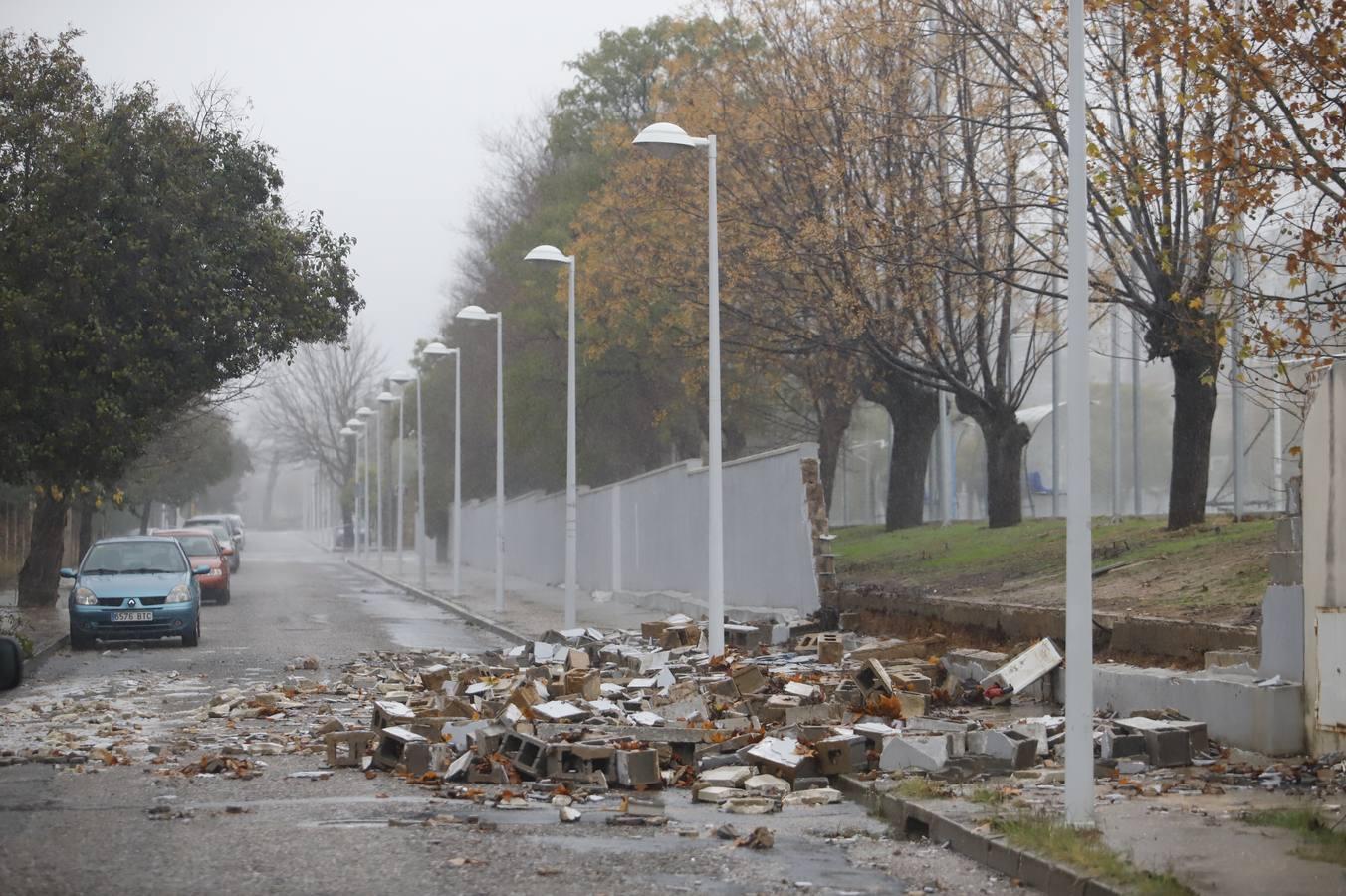 Las incidencias de la borrasca Elsa en Córdoba, en imágenes