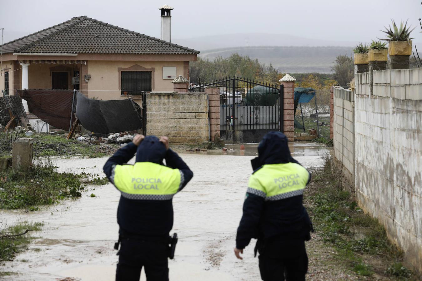 El paso de la borrasca Elsa por las parcelas del río en Córdoba, en imágenes