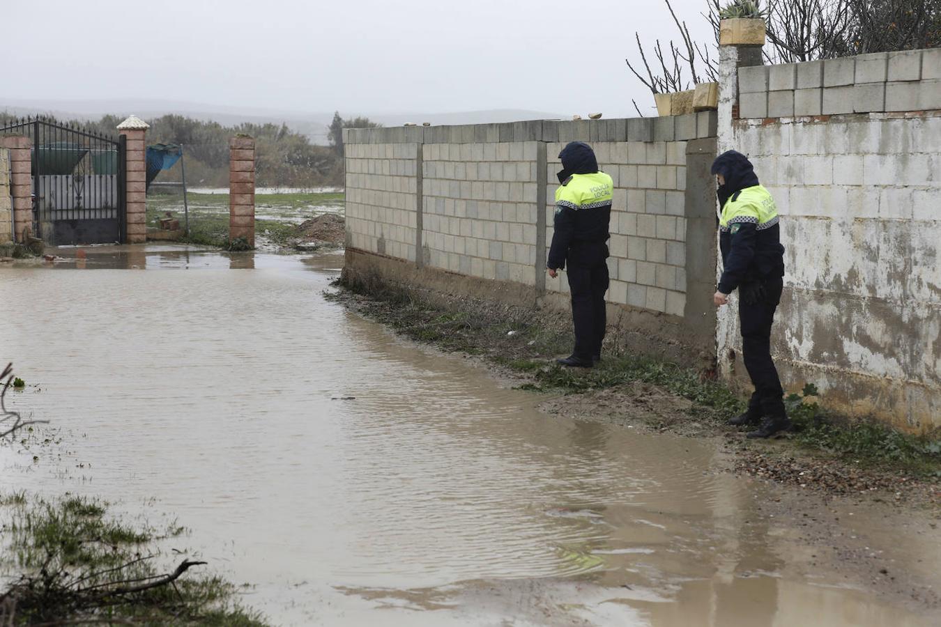 El paso de la borrasca Elsa por las parcelas del río en Córdoba, en imágenes