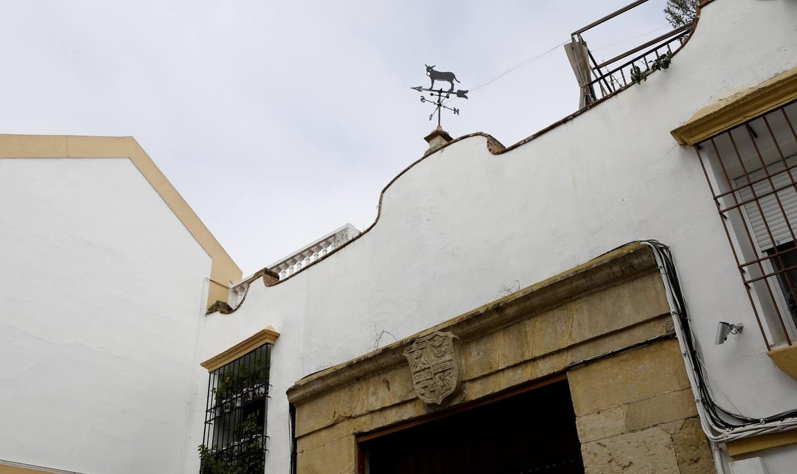 La calle Muñices de Córdoba, en imágenes